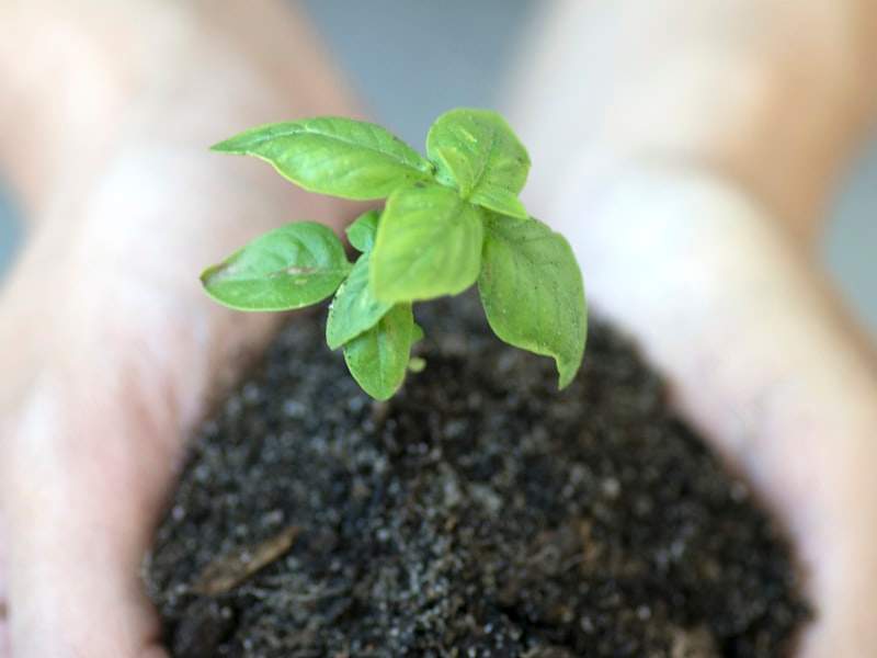 How Much Does Junk Removal Cost in Kingston, WA?